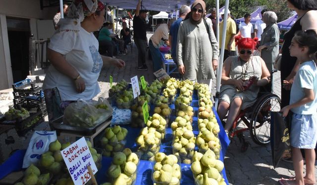 Üretim rekor kırdı, kilosu 250 liradan satıldı: 15. Bardacık İnciri Festivali'nde coşkulu hasat!