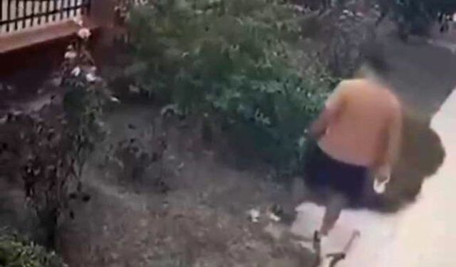 İzmir’de kediye tekme atmıştı! Şüpheli yakalandı