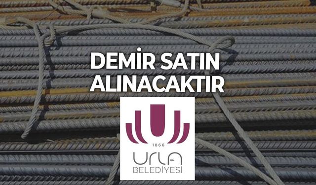 DEMİR SATIN ALINACAKTIR