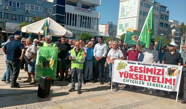 Çiftçilerden TARİŞ’in üzüm fiyatına sert tepki