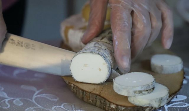 Fransızlar İzmir'de üretilen bu peyniri tercih ediyor!