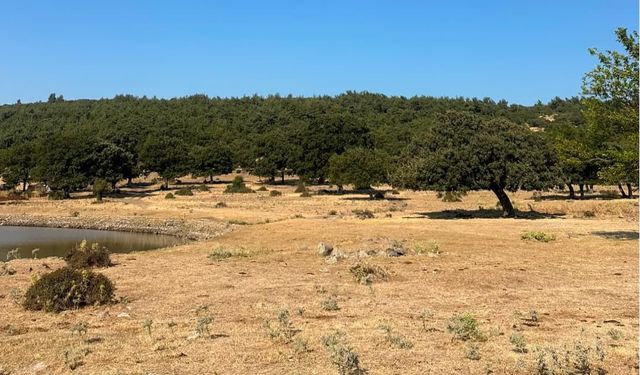 İzmir ve Manisa arasına 145 milyonluk 'demir perde'