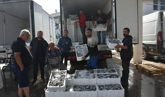 İzmir’de denizden bereket fışkırdı: Ağlar doldu, balık fiyatları dibe vurdu!