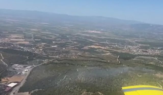 Manisa’da orman yangını! Valilikten açıklama