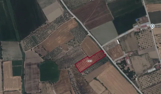Tire'de şahıs arazisinden çıkan Bizans buluntuları sonrası sit kararı!
