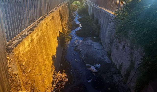 Urla'da emekli öğretmen meydan okudu: "Bütçe İstemem, yetki verin ben temizleyeyim!"