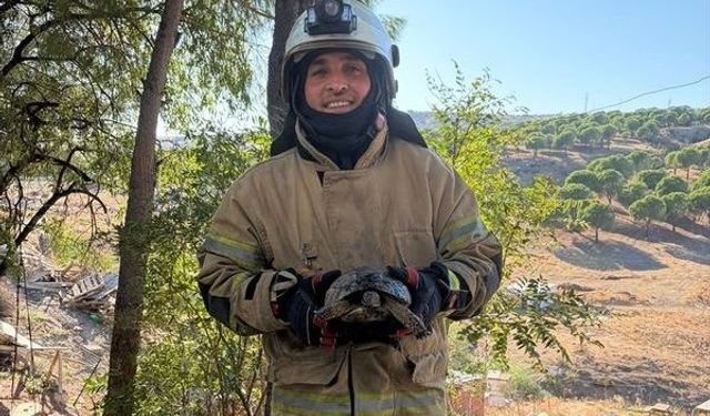 Bergama’da ot yangını söndürüldü: İtfaiyeden kaplumbağaya hayat kurtaran dokunuş