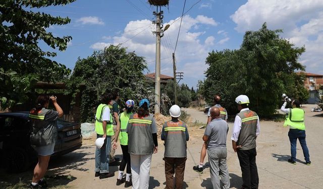 ADM ve GDZ Elektrik’ten göçmen kuşlar için yeni koruma hamlesi