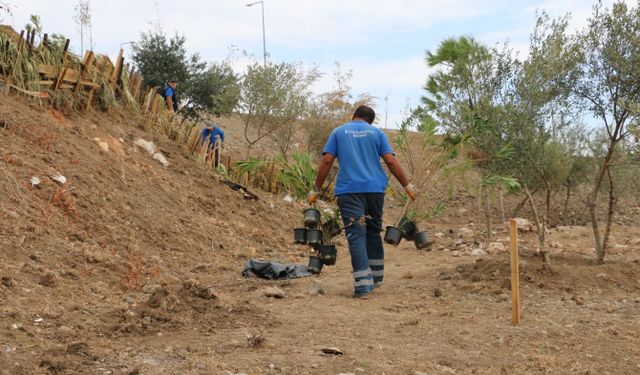 Buca'nın çehresini değiştirecek proje: Erozyon riski yerini dev yeşil alanlara bırakıyor