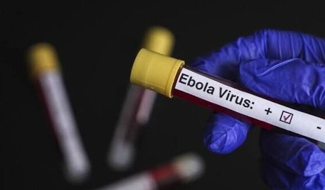 DSÖ’den Ebola görülen ülkelere seyahat ve ticaret kısıtlaması çağrısı
