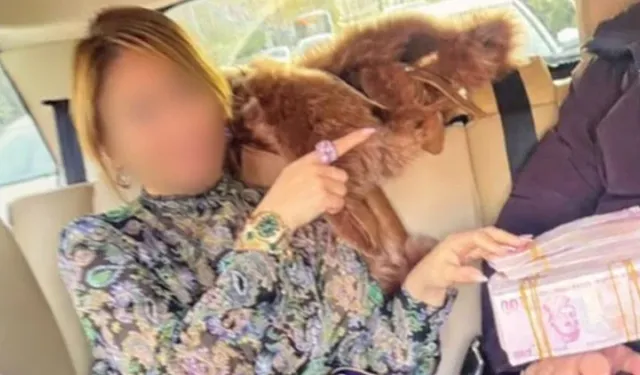 5 hakim' ile savcı açığa alındı eski hakim tutuklandı: Adliyede rüşvet depremi!