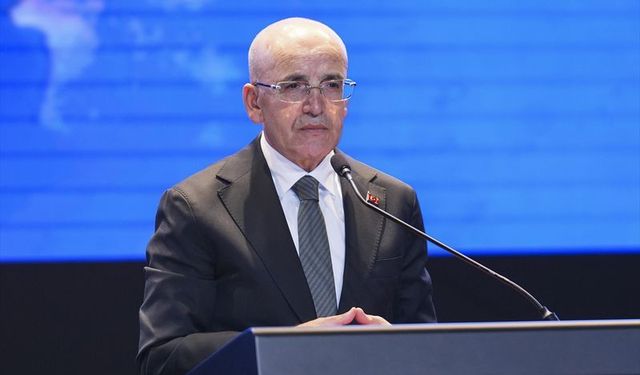 Hazine ve Maliye Bakanı Mehmet Şimşek 'o parayı istiyorum' dedi, ekonomist İris Cibre'den tam destek geldi