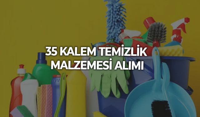 35 KALEM TEMİZLİK MALZEMESİ ALIMI