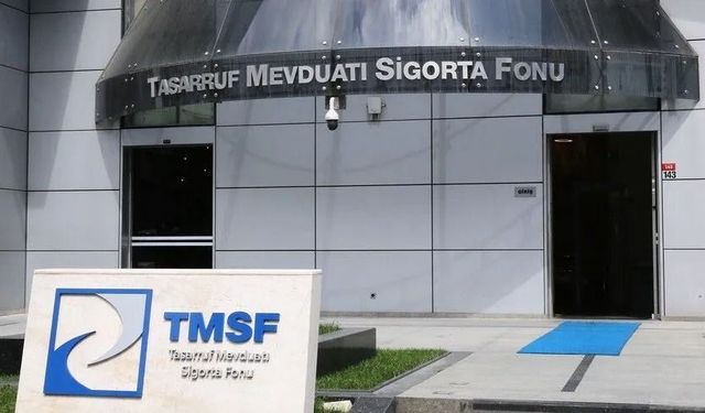 TMSF, Tera Yatırım Teknoloji Holding’e kayyum olarak atandı