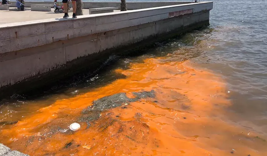 İzmir Körfezi'nde 'kırmızı- turuncu renk' uyarısı
