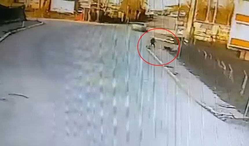 Kandıra'da dehşet veren anlar: 2 köpek okula giden çocuğa saldırdı!