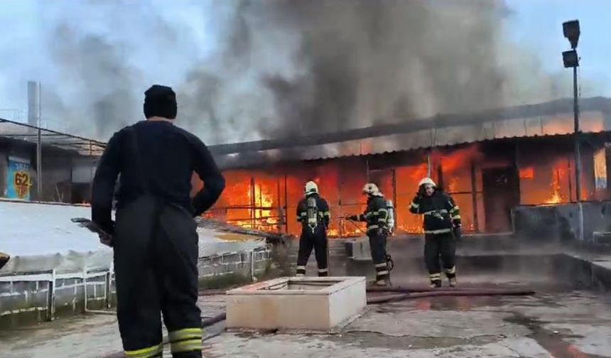 Diyarbakır'da yangın: 600 kuş ve 2 milyon TL zarar meydana geldi!