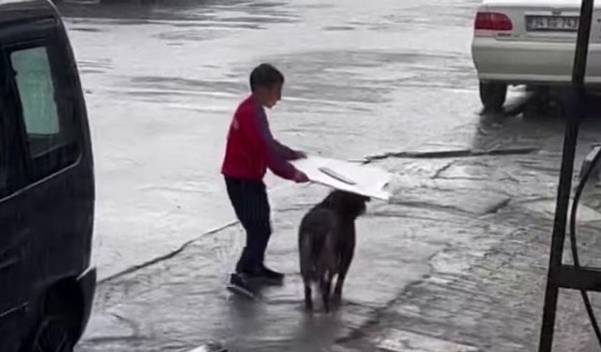 Esenyurt'ta yürekleri ısıtan görüntü: Küçük çocuk yağmurdan ıslanan köpeği korudu