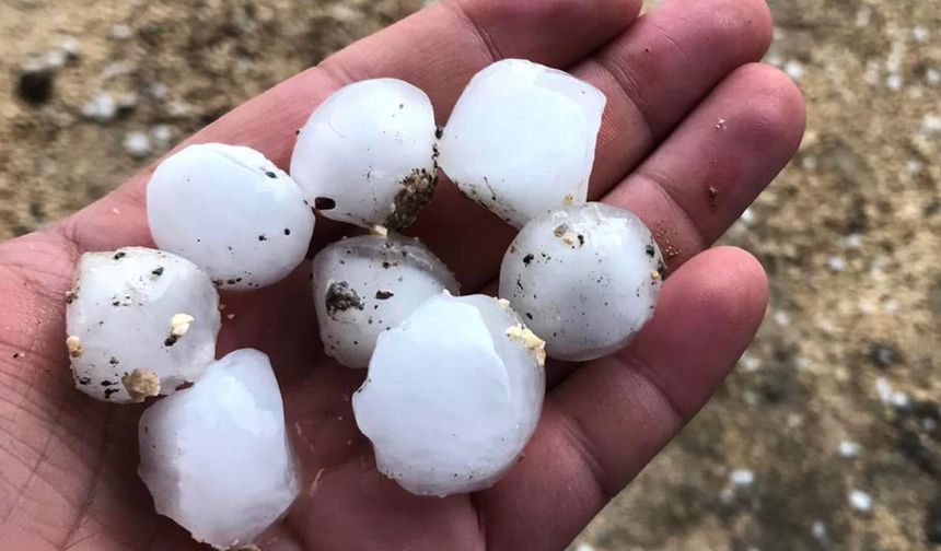 Ardahan'a dolu geldi. Mayıs ayı ocağa döndü