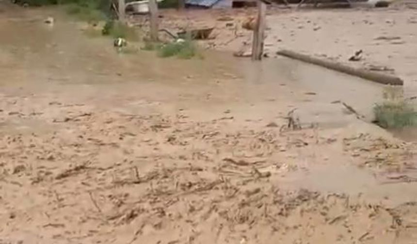 Güroymak'ta sel felaketi: Ahırlar ve tarlalar sular altında!