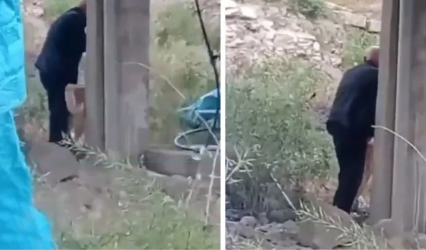 Tavuk skandalından sonra bu da oldu! Köpeği ekmekle çağırıp tecavüz etti!