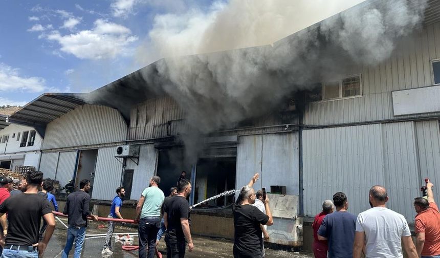 Muğla'da korkutan yangın: Toptancı Hali'nde ortalık karıştı!