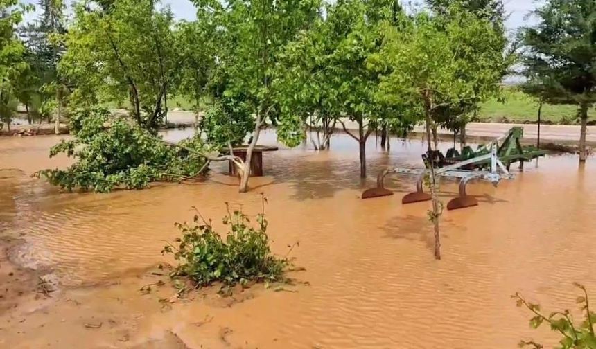 Şanlıurfa'da sağanak felaketi: Tarla ve evleri su bastı!