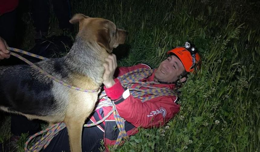 Uludağ'da kayalıkta mahsur kalan köpek için ekipler seferber oldu!