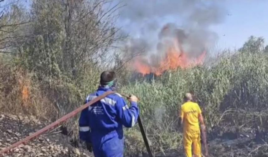 Kastabala Kuş Cenneti'nde çıkan yangın kontrol altına alındı