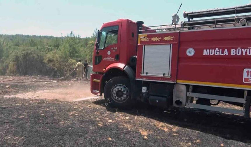 Düzce'de itfaiyenin zamanında müdahalesi anız yangınını önledi