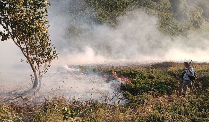 Tunceli Pülümür'de çıkan orman yangını kontrol altına alındı