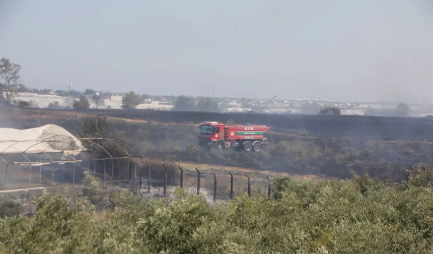 Antalya'da yangın alarmı: Otluk alandan ormana ve seralara sıçradı!