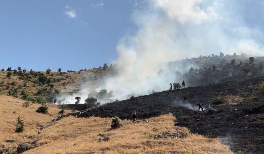 Muş'ta ot yangını paniği: Ekiplerin müdahalesiyle söndürüldü