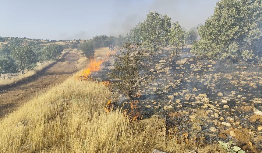 Midyat'ta kırsal mahallelerde örtü yangını: Ekipler müdahale ediyor