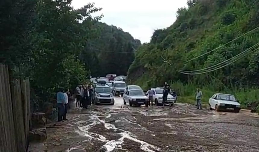 Ordu'da sel felaketi: 1 can kaybı, yollar kapandı, hayvanlar telef oldu