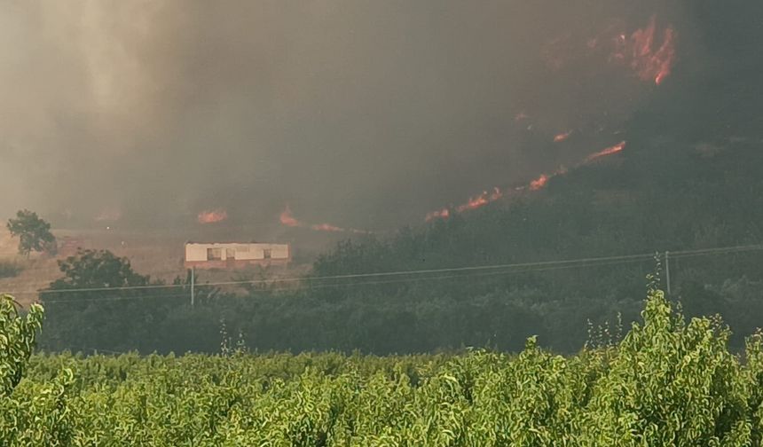 Bursa'da orman yangını! Ekipler alevlere müdahale ediyor