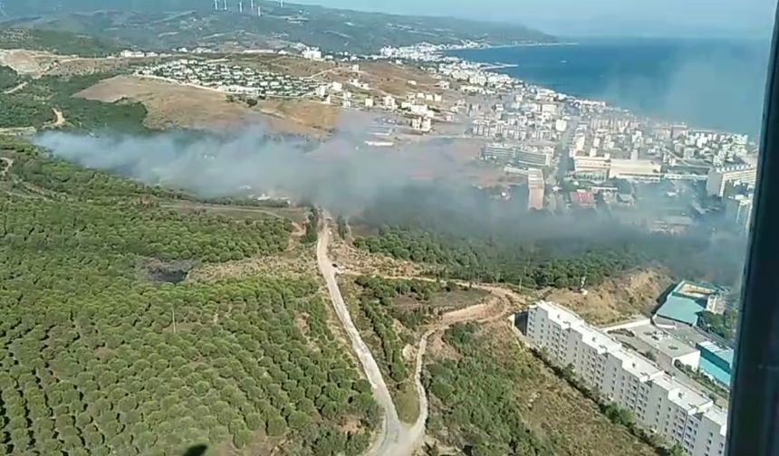 Yalova'da orman yangını: Ekipler müdahale ediyor