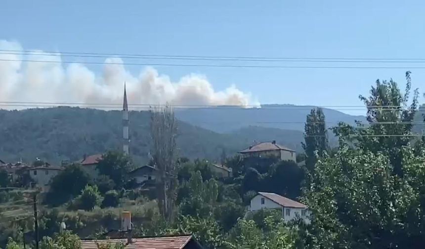 Karabük'te orman yangını: Bölgeye çok sayıda ekip sevk edildi!