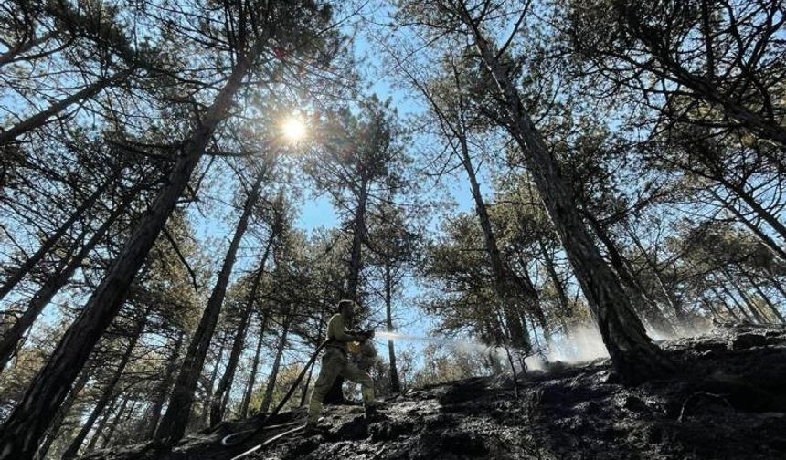 Karabük'te orman yangını: 7 Hektar alan zarar gördü