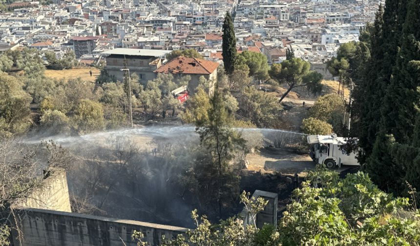 Aydın'da zeytinlik ve otluk alan yangını kontrol altına alındı