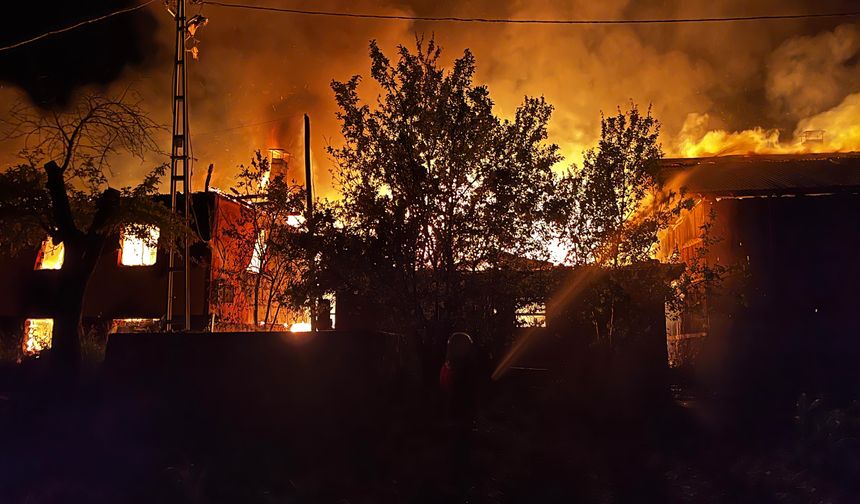 Köyde korkutan yangın: 2 ev, 2 ahır ve traktör kullanılamaz hale geldi