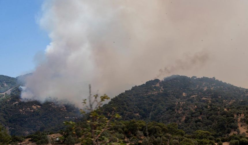 Bolu Göynük'te orman yangını 3 gündür devam ediyor