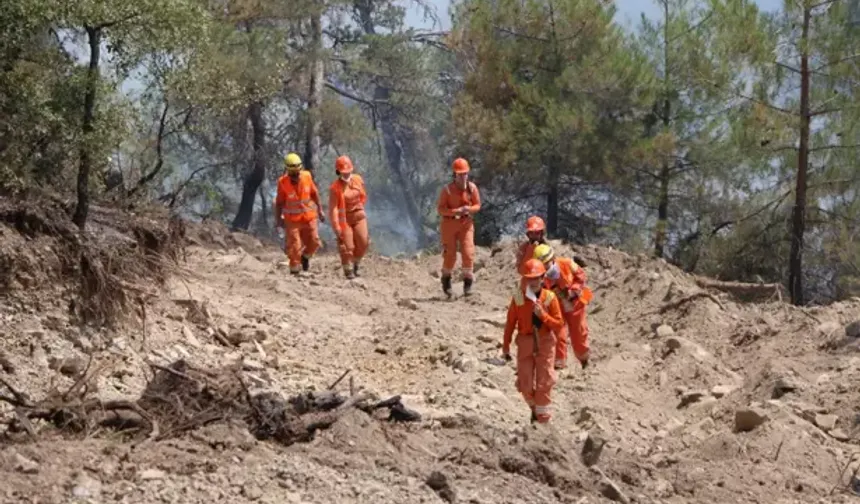 Bolu'daki yangın 72 saat sonra kontrol altına alındı!