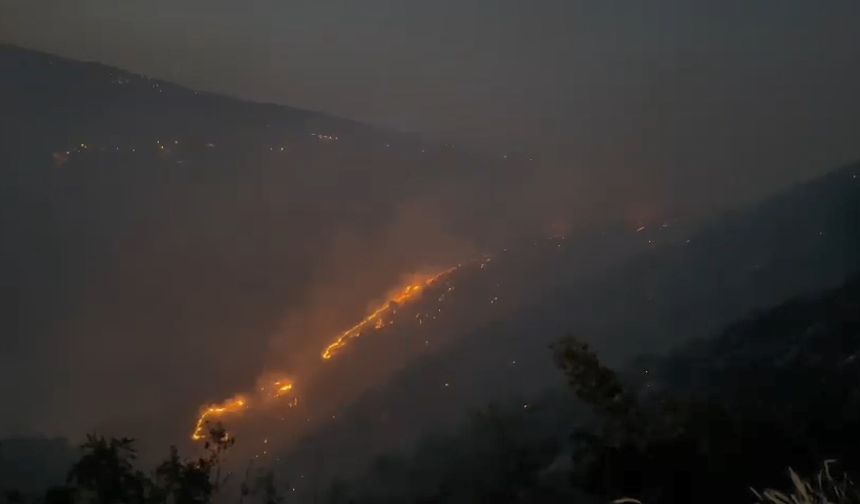 Bingöl'de büyük yangın!