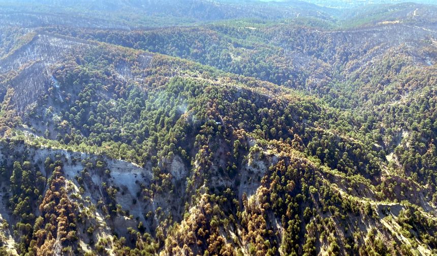 Bolu’daki orman yangınında soğutma çalışmaları devam ediyor