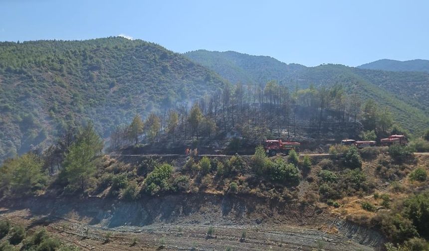 Hatay'da çıkan orman yangını ekiplerin müdahalesiyle kontrol altında!