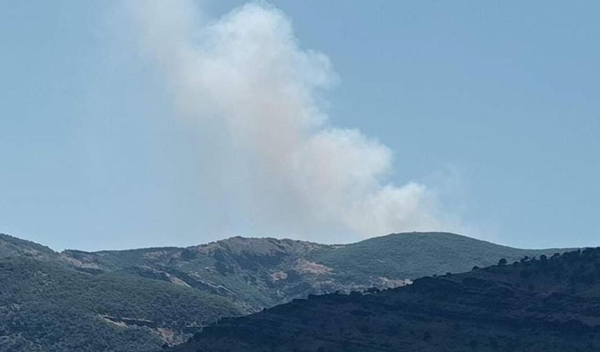 Tunceli’de orman yangınlarına müdahaleler devam ediyor