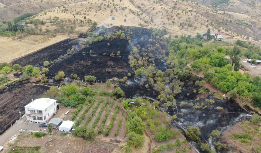 Elazığ'da 200 dönüm alan yangınlara teslim oldu