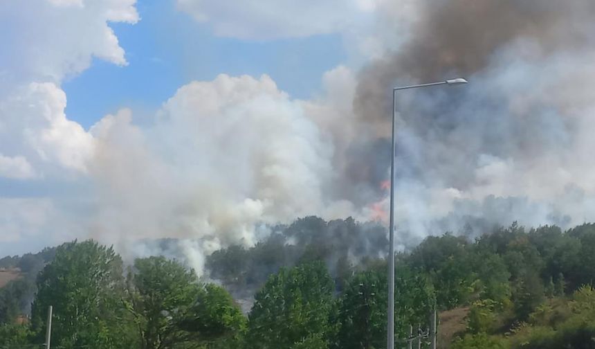 Bilecik Pazaryeri'nde çıkan orman yangını kontrol altına alındı