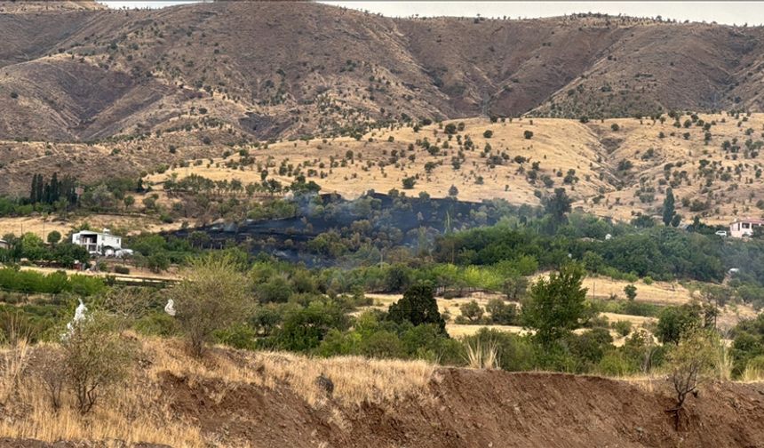 Rüzgarın kızıştırdığı yangında 150 dönüm tarım arazisi zarar gördü| 3 kişi dumandan etkilendi